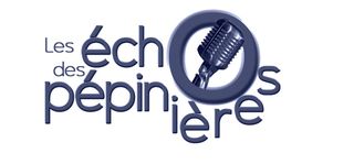 Logo echos bleu
