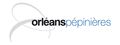 Logopepi