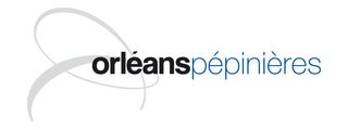 Logopepi