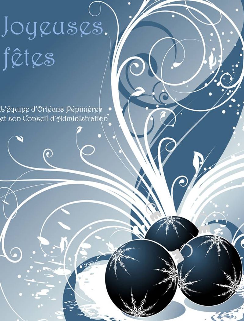 Joyeuses fêtes-1