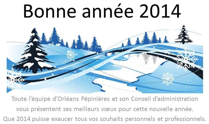 Bonne année 2014