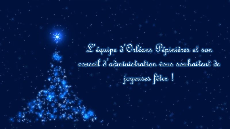 Joyeuses fêtes 2014