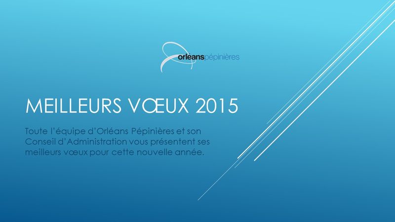 Meilleurs vœux 2015